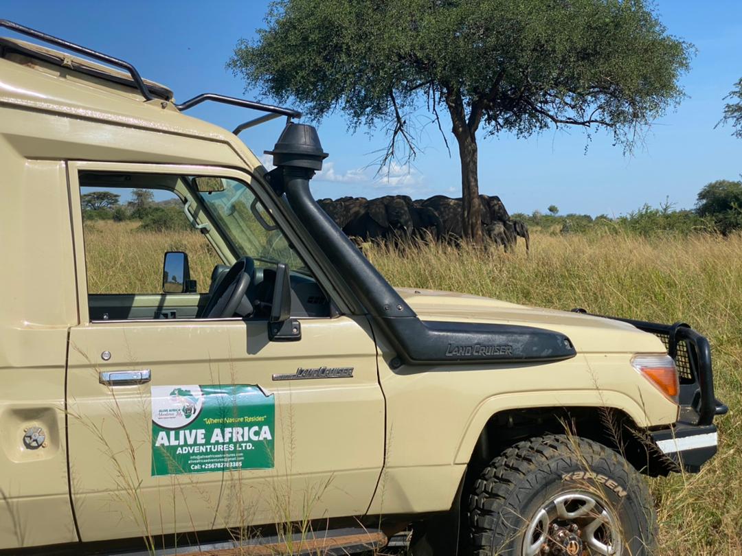 Best safari in africa