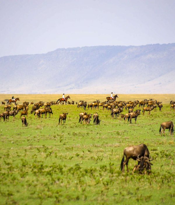 Maasai Mara