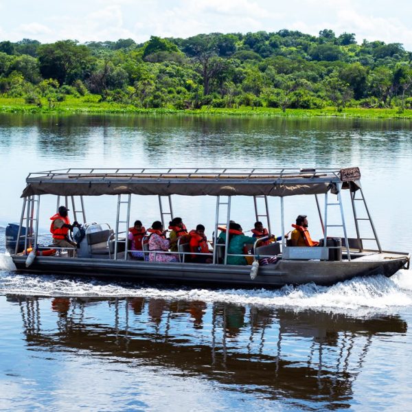 boat-cruise-safaris