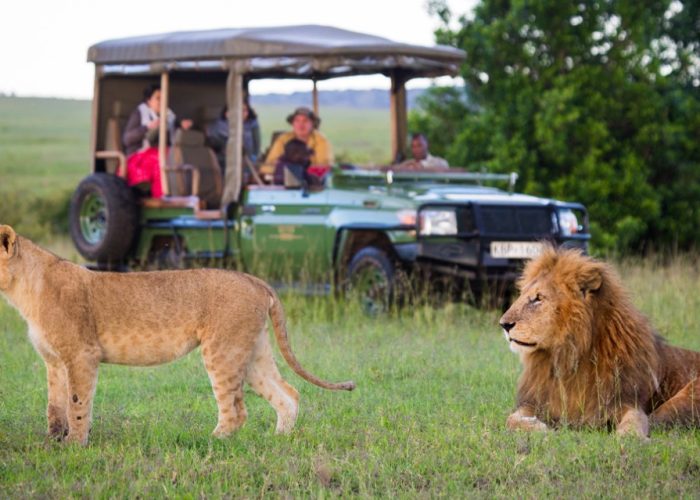 12 Days Wildlife Safari Experience in Kenya: Admire the magnificent Mount Kilimanjaro in the background as you see herds of elephants moving over the plains