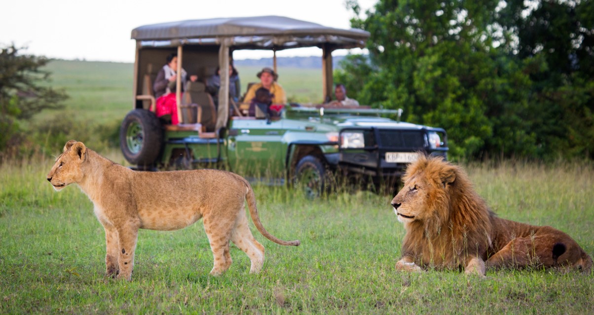 12 Days Wildlife Safari Experience in Kenya: Admire the magnificent Mount Kilimanjaro in the background as you see herds of elephants moving over the plains