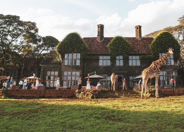4-Days Giraffe Manor and Masai Mara Safari in Kenya is an amazing place to go on a luxury trip customized trip, our professionals at Alive Africa Adventures