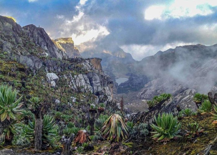 7 Days Mountain Rwenzori hiking Safari Uganda will take you to south west of Uganda to you to Weismann's Peak (4,620 m) and Stella Peak (4,626 m)