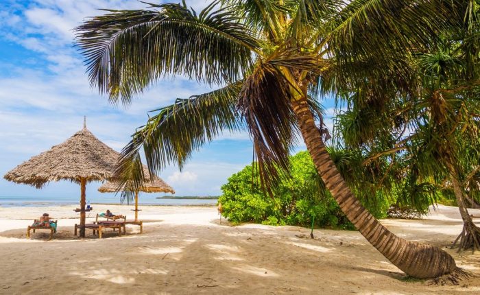 10-Days Zanzibar Beach Vacations Featuring wildlife, With this unique journey, which includes swimming with turtles and dolphins, lounging on the beaches