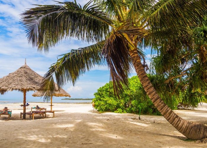 10-Days Zanzibar Beach Vacations Featuring wildlife, With this unique journey, which includes swimming with turtles and dolphins, lounging on the beaches