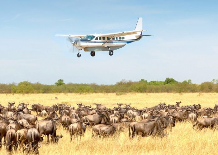 5-Day Luxury Flight Safari to Lake Manyara: This quick journey was created specifically for quick drives through the well-known Tarangire National Park
