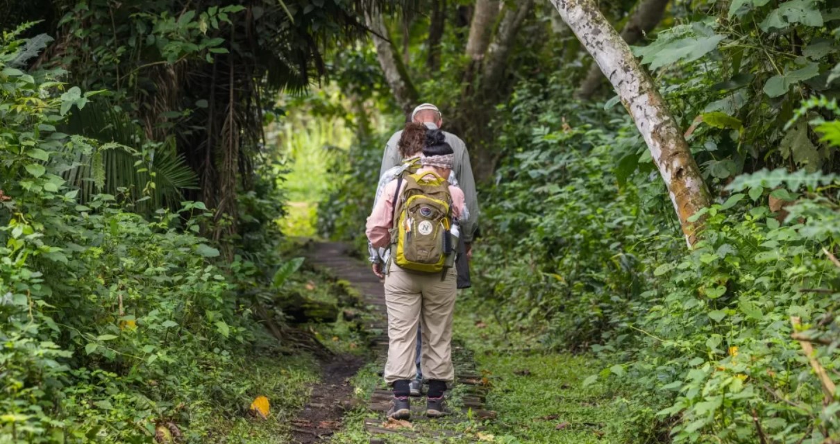 Is it safe to visit Kibale forest park?: Many visitors from all over the world are interested in visiting this Park, but one of their concerns is safety