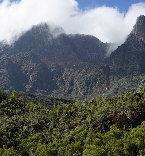 Location of Rwenzori Mountains national park: Prior to their trip, tourists typically want to learn more about the destinations they will be visiting