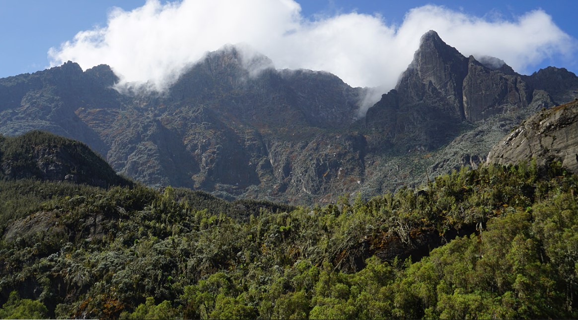 Location of Rwenzori Mountains national park: Prior to their trip, tourists typically want to learn more about the destinations they will be visiting