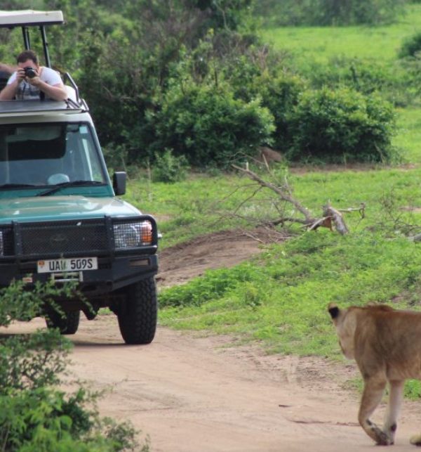 Game viewing safaris in Murchison falls national park: Would you want to go game watching in the largest national park in Uganda?