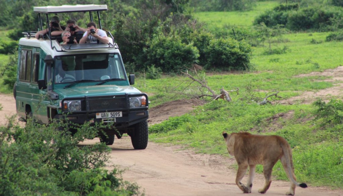 Game viewing safaris in Murchison falls national park: Would you want to go game watching in the largest national park in Uganda?