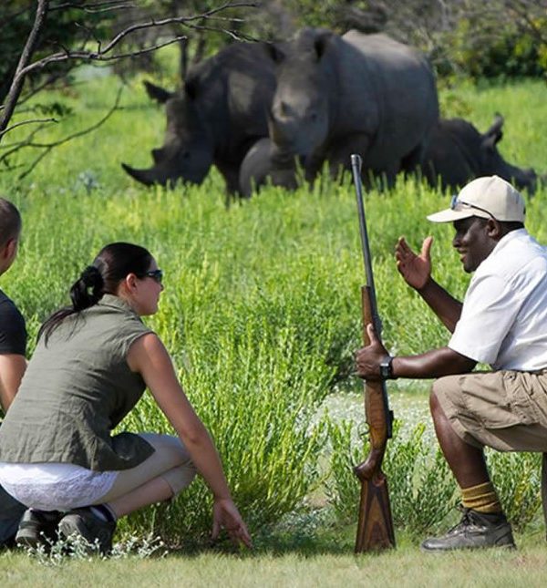 Do nNature walks in Ziwa Rhino Sanctuary spark your interest? Indeed, Ziwa Rhino Sanctuary, situated near Murchison Falls National Park
