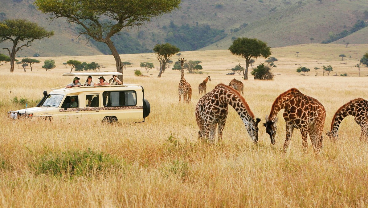 When is the best time to visit Uganda for a safari? Because the equatorial region has fluctuating weather patterns, if you're planning an all-inclusive safari vacation to Uganda