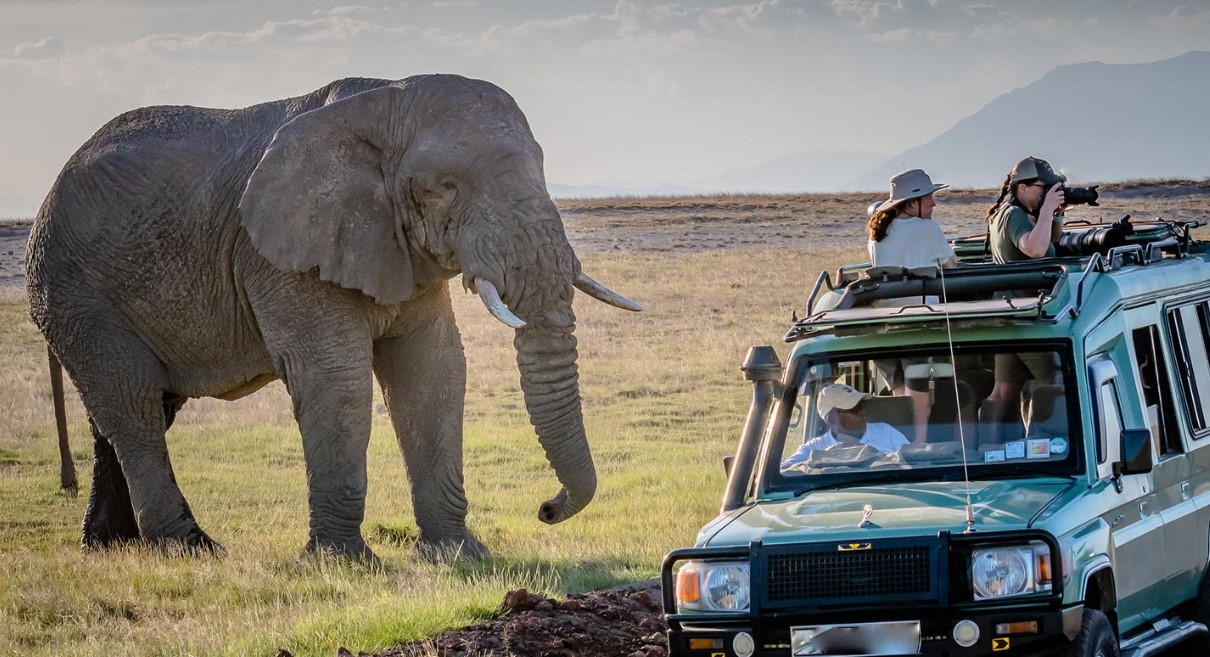 Are game drives in Queen Elizabeth National Park worthy Nestled in the scenic heart of western Uganda, the park is one of Africa’s most iconic wildlife destinations