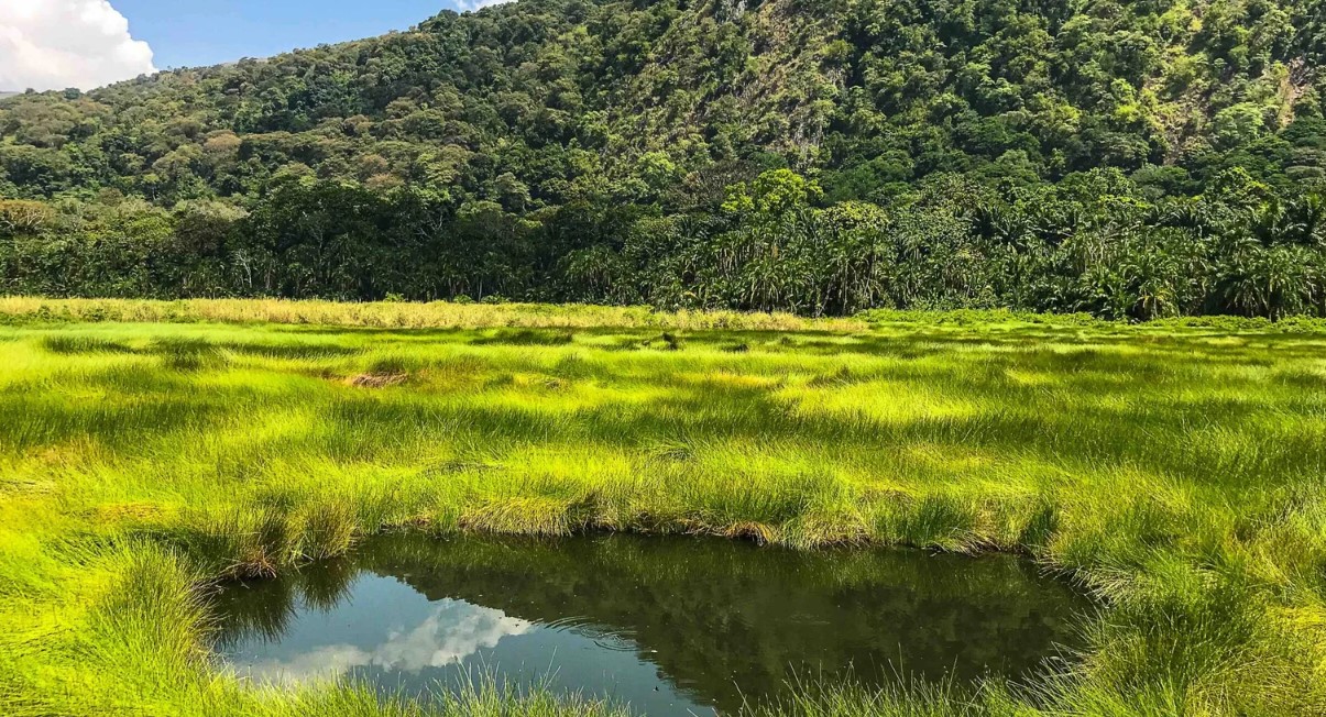 Are you Planning a safari to Semuliki National Park, one of the prominent locations in Uganda located in Bundibugyo district western Uganda