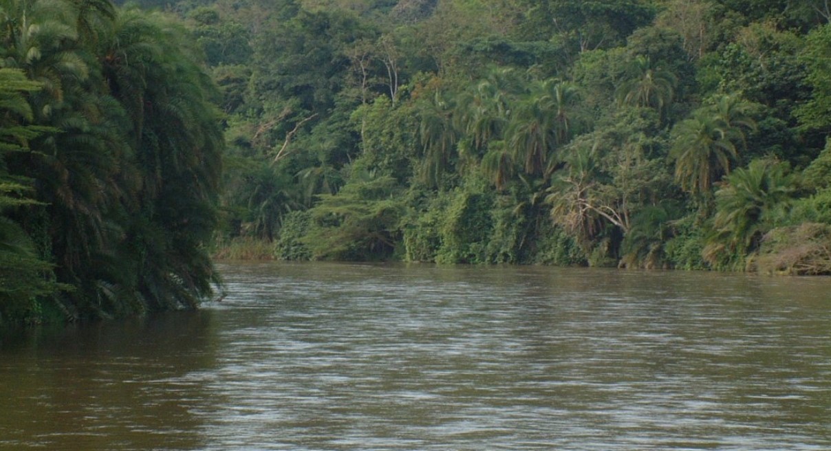 Discover Wasa River a tranquil, wildlife-rich river flowing through the Toro-Semliki Wildlife Reserve unique ecology, lush gallery forests, abundant wildlife