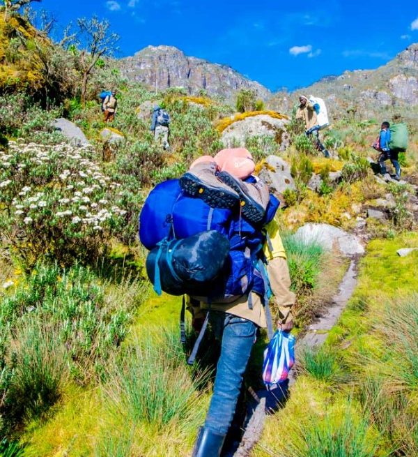 What to do after Semuliki National Park: The 220 square kilometer Semuliki National Park is located in the western Ugandan region of Bundibugyo.