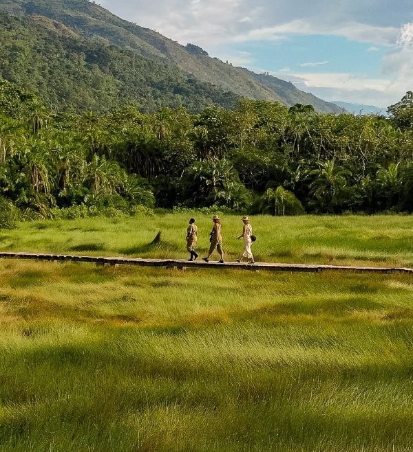 What to expect on a Semuliki National Park safari: Semuliki National Park is one of the several wildlife zones in Uganda that attract tourists each year