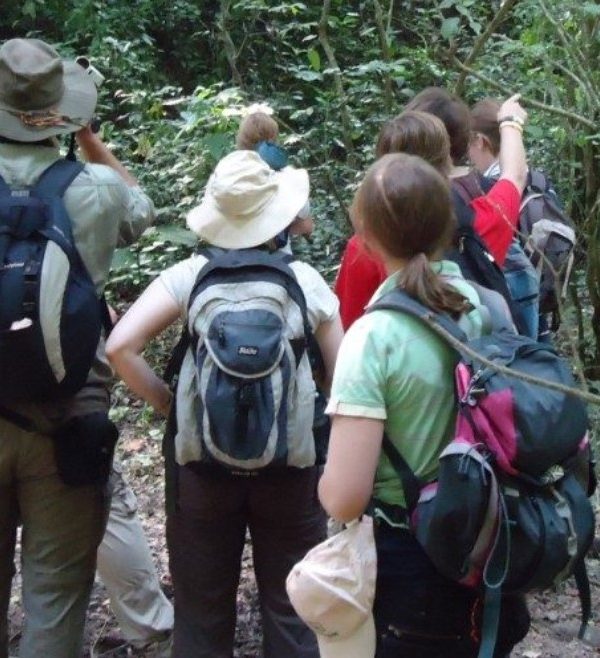 Nature walks in Queen Elizabeth National Park: One of Uganda's ten national parks, situated in the country's western region and it is the most popular park