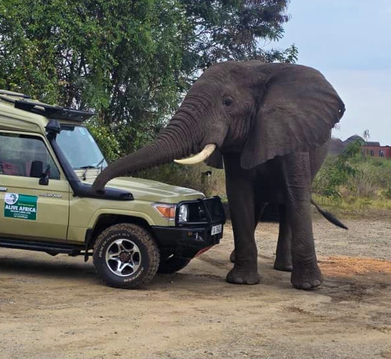 7-days-wildlife-adventure-safari-through-kidepo