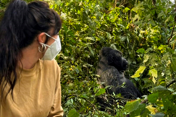 4-Days-Luxury-Double-Gorilla-Trekking-Safari