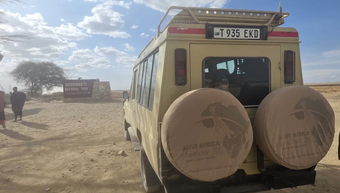 Best Time to Visit Tanzania for Safari