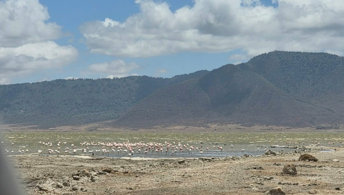 Ngorongoro Crater Safari