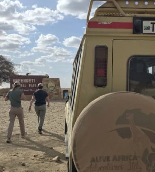 Tanzania Safari for First-Time Visitors